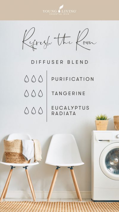 Diffuser Blends to Fake a Clean House